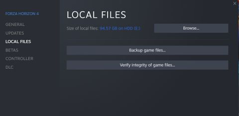 Forza Horizon 4 local files
