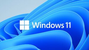 Remove Malware from Windows 11 PC