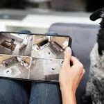 The Top Pet Cameras